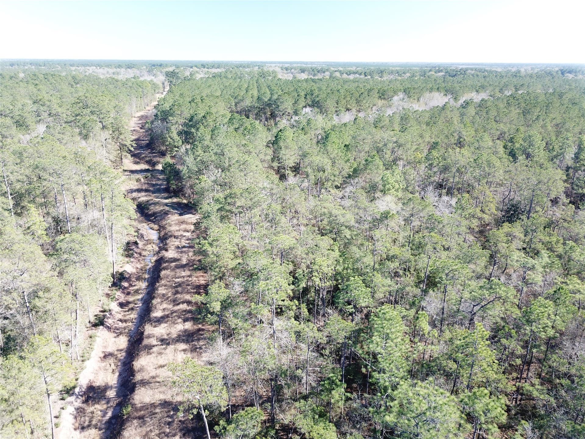 791 acres in Orange County - photo 13