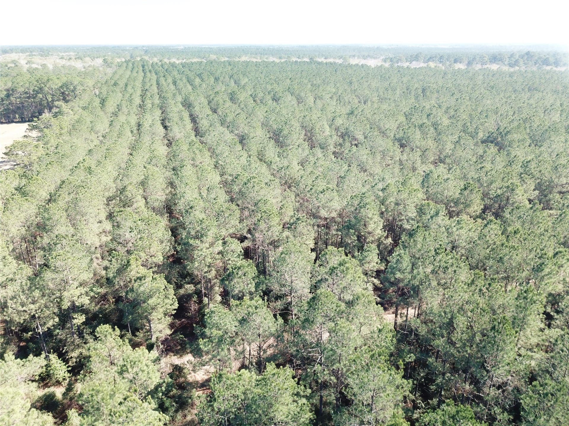 791 acres in Orange County - photo 2