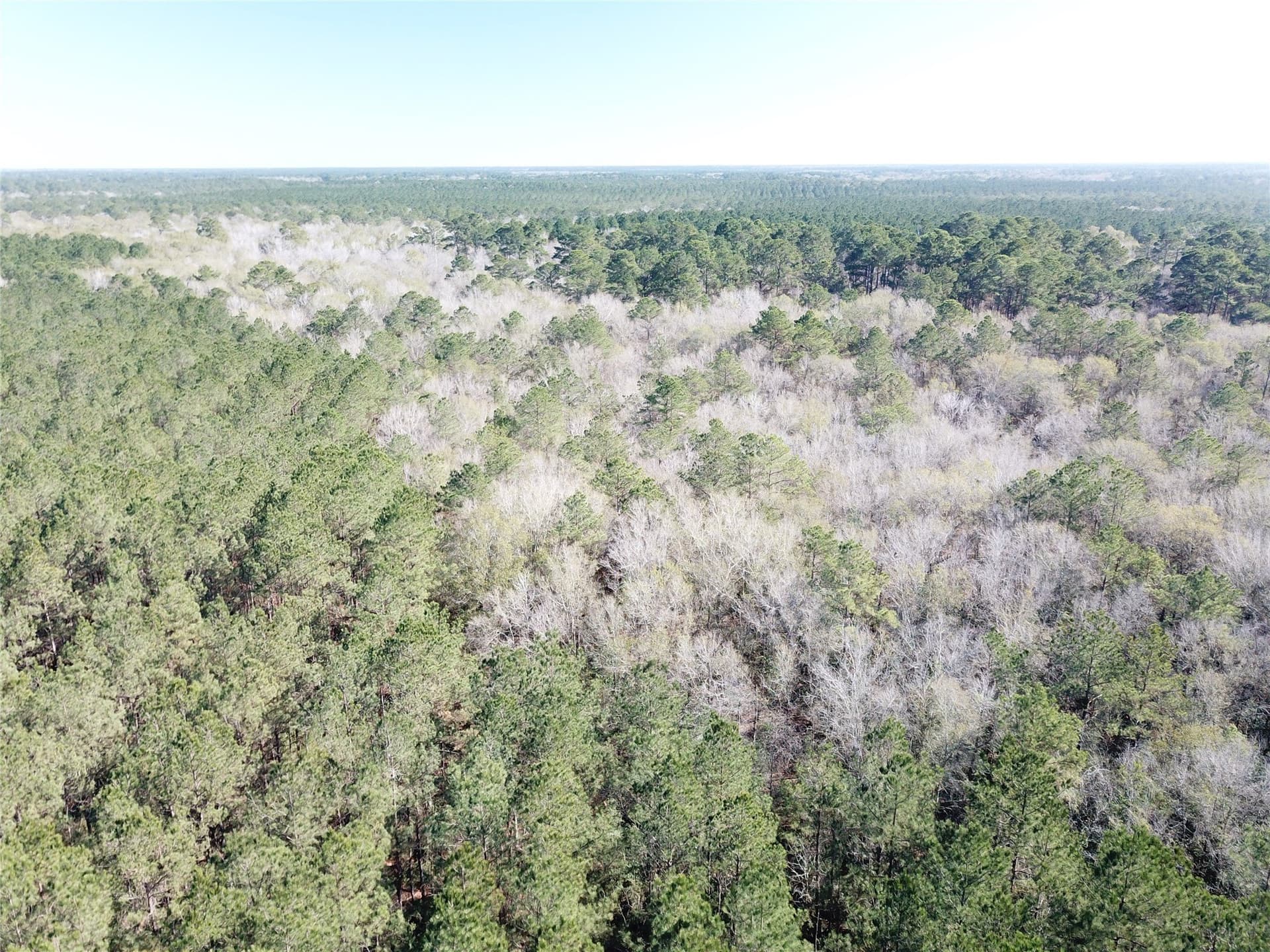 791 acres in Orange County - photo 6