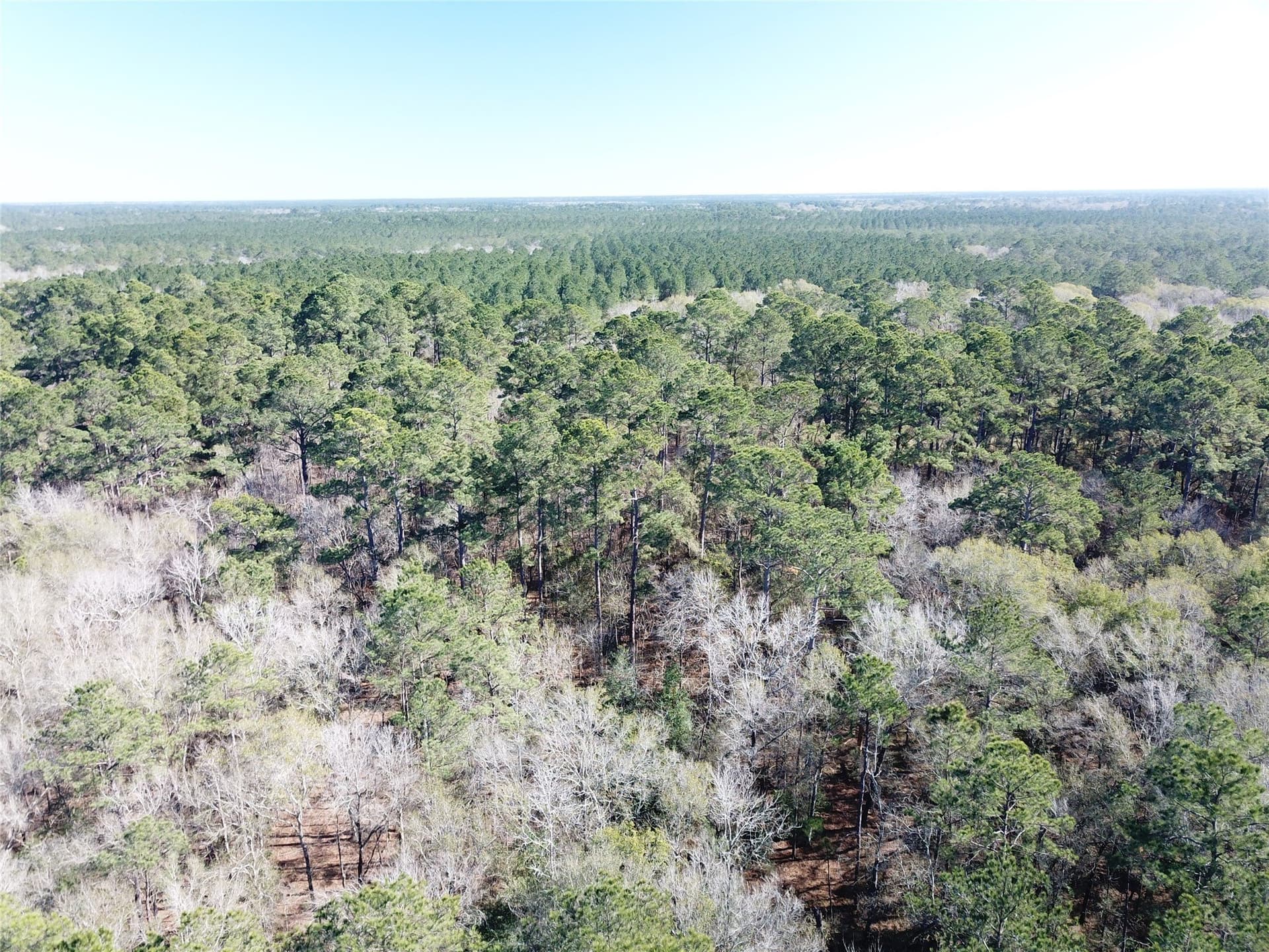 791 acres in Orange County - photo 8