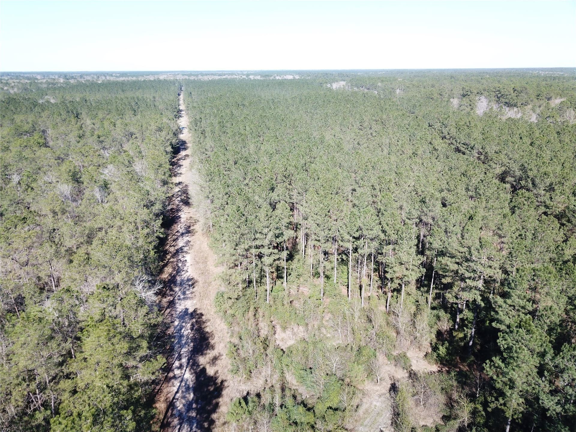791 acres in Orange County - photo 28