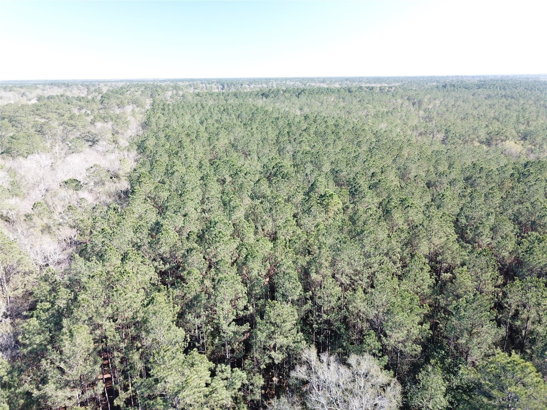 791 acres in Orange County - photo 24
