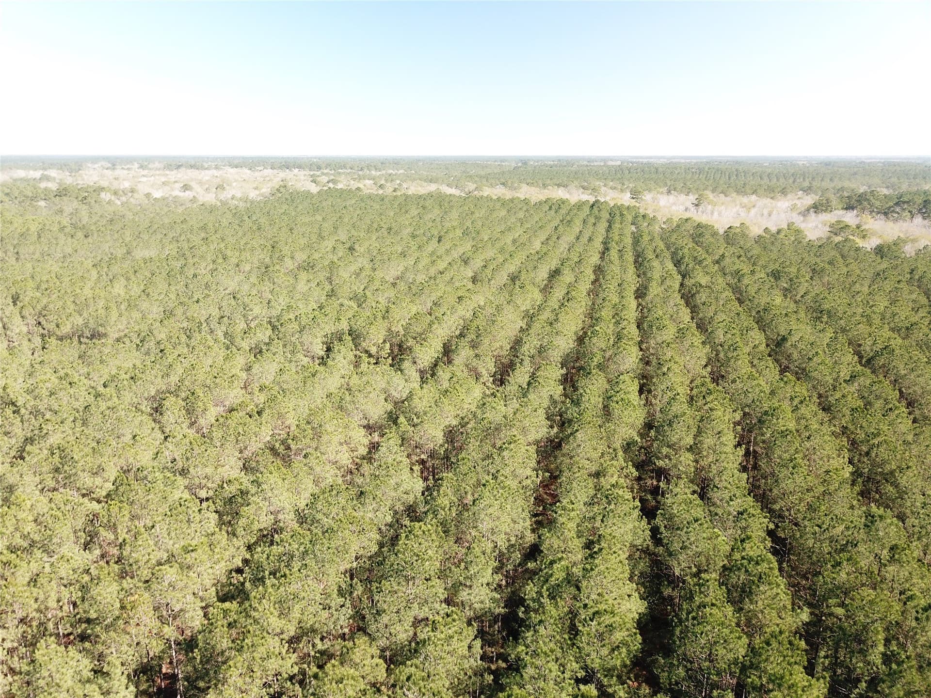 791 acres in Orange County - photo 5