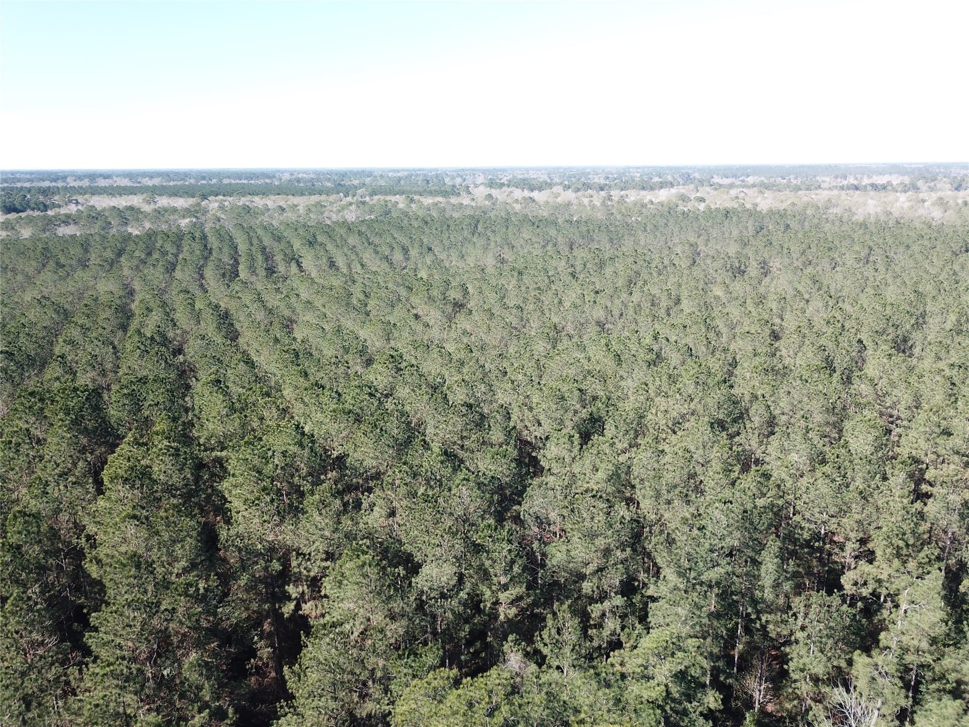 791 acres in Orange County - photo 18