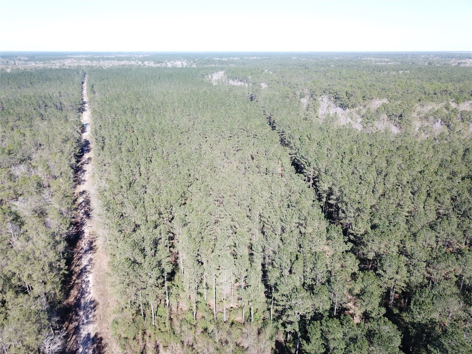 791 acres in Orange County - photo 29