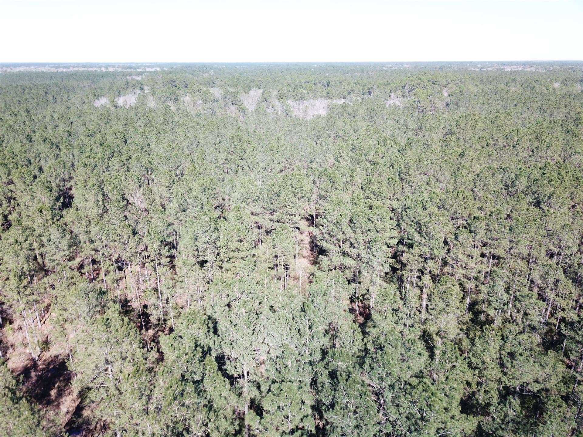 791 acres in Orange County - photo 27