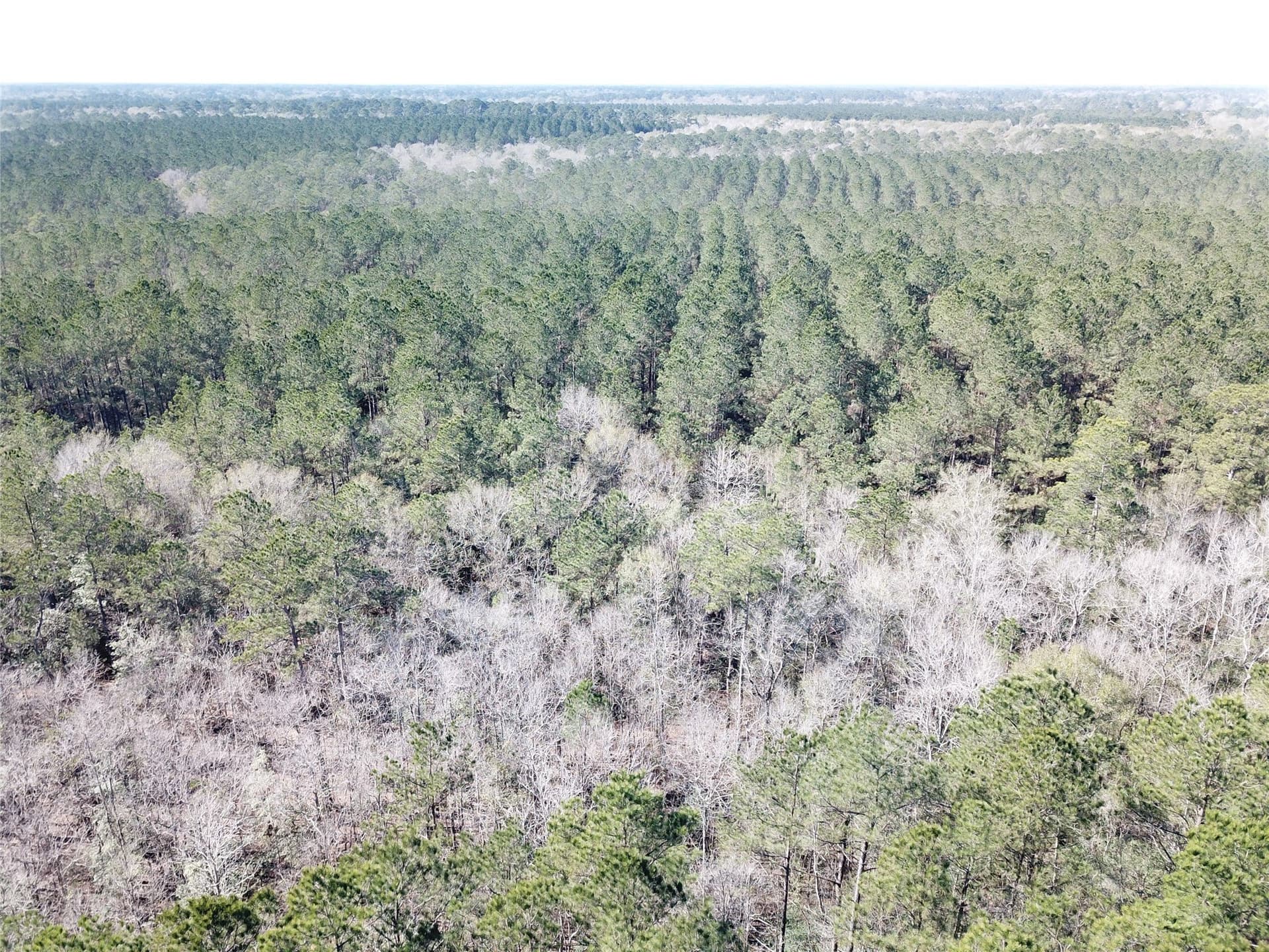 791 acres in Orange County - photo 17