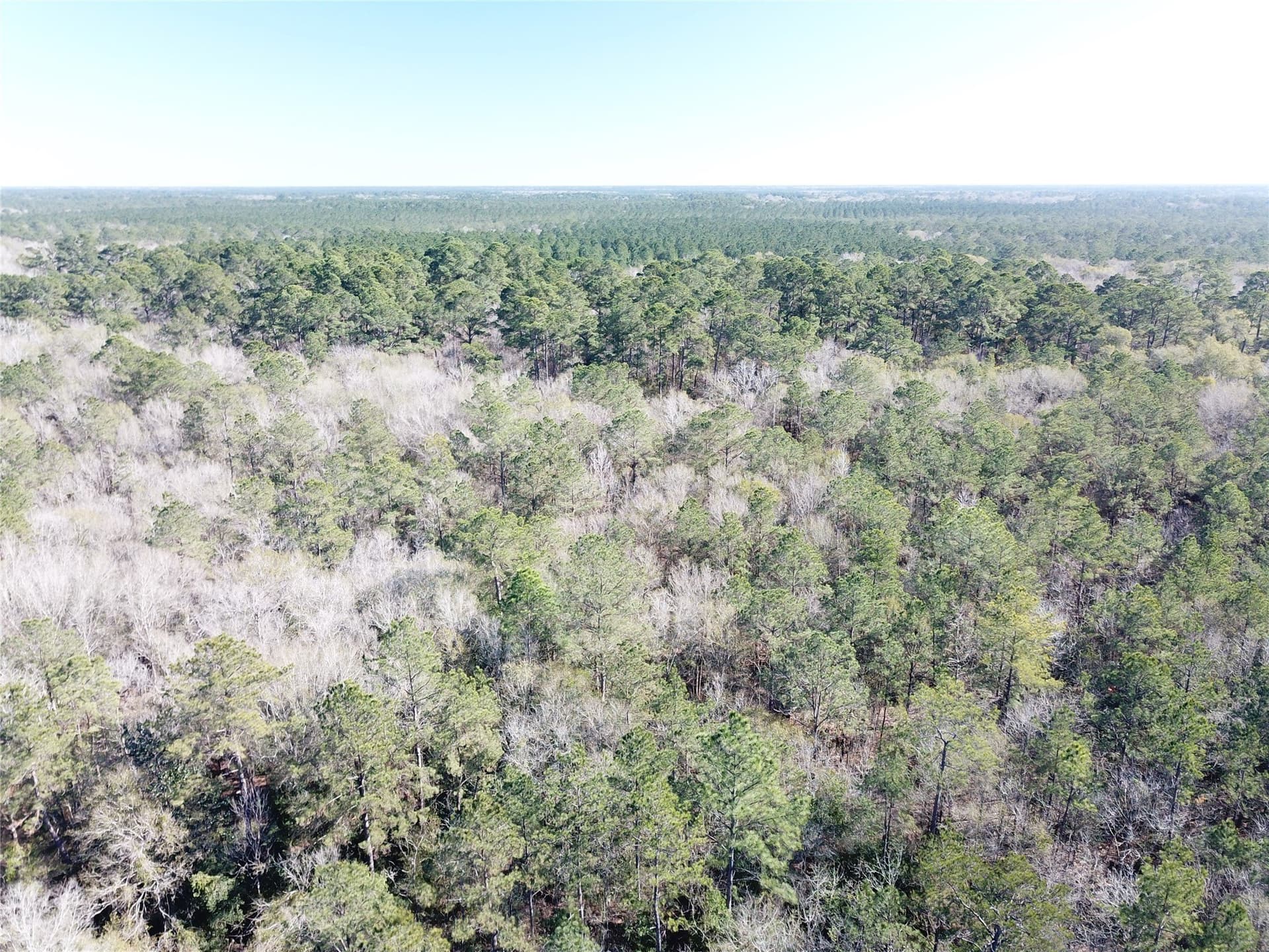 791 acres in Orange County - photo 7