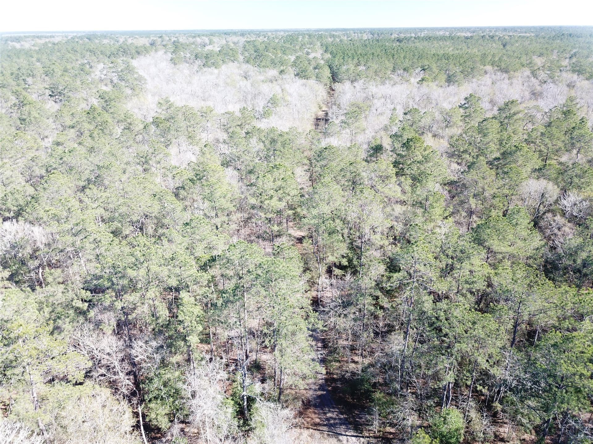 791 acres in Orange County - photo 22