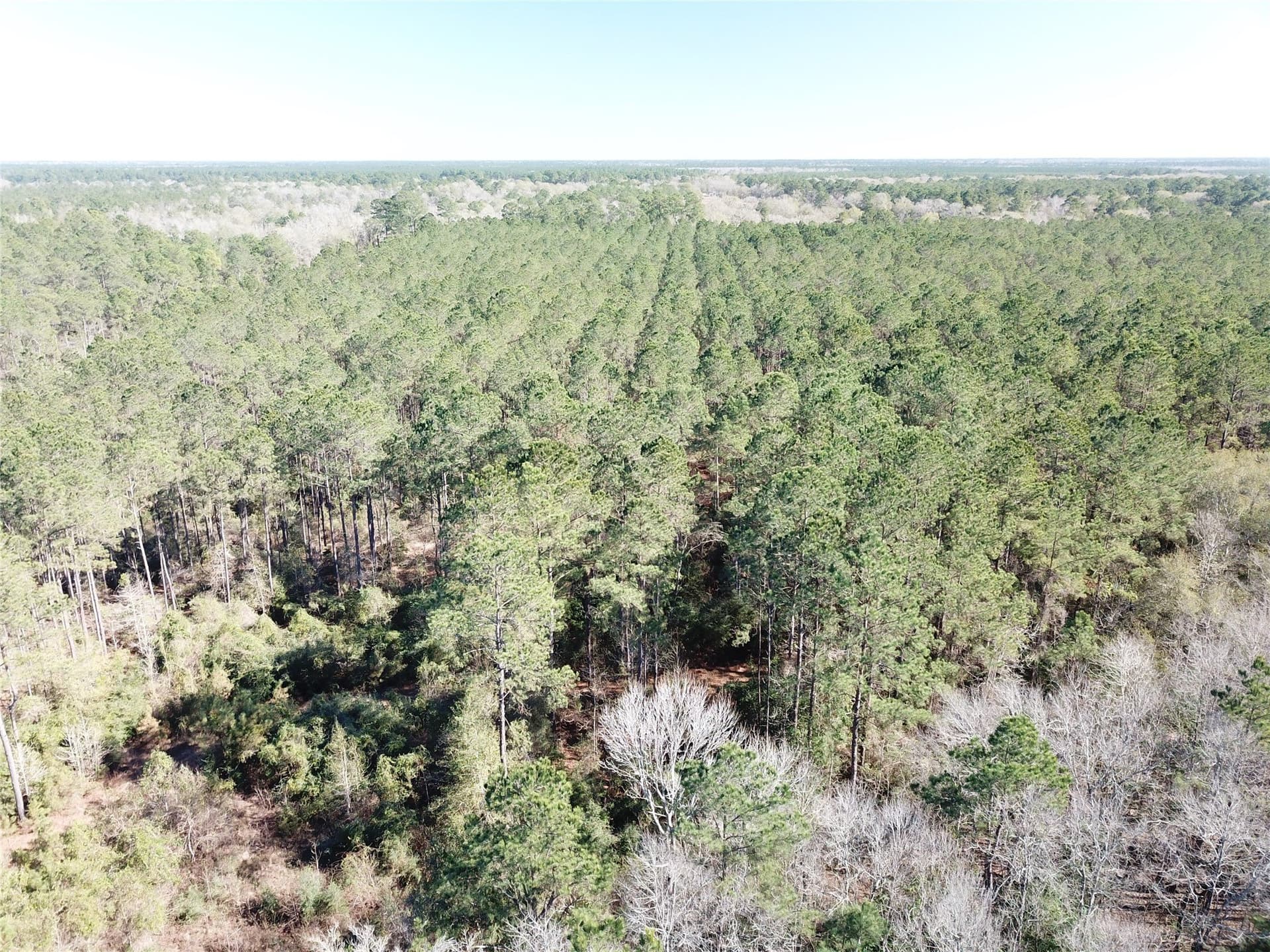 791 acres in Orange County - photo 14