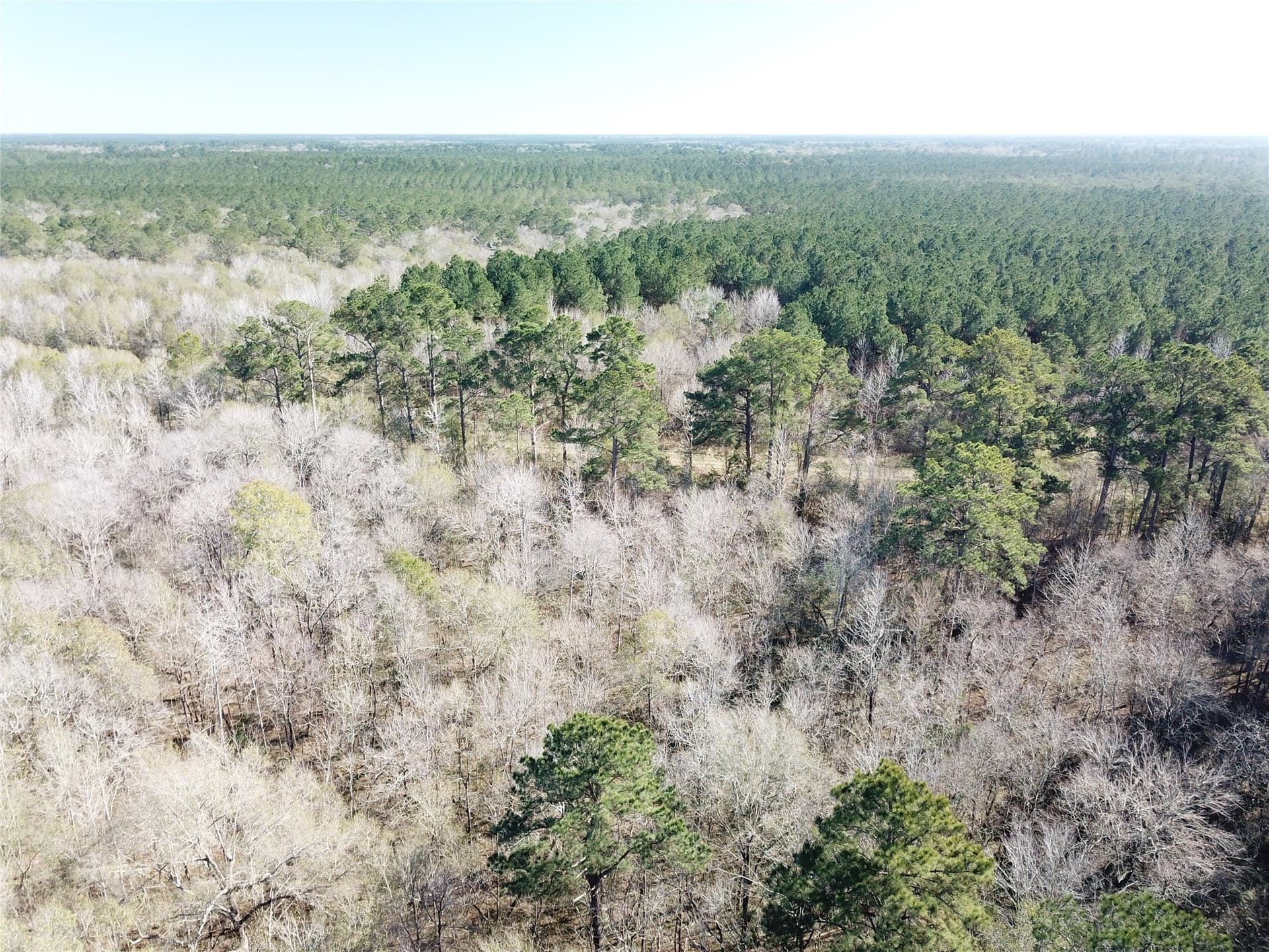 791 acres in Orange County - photo 12
