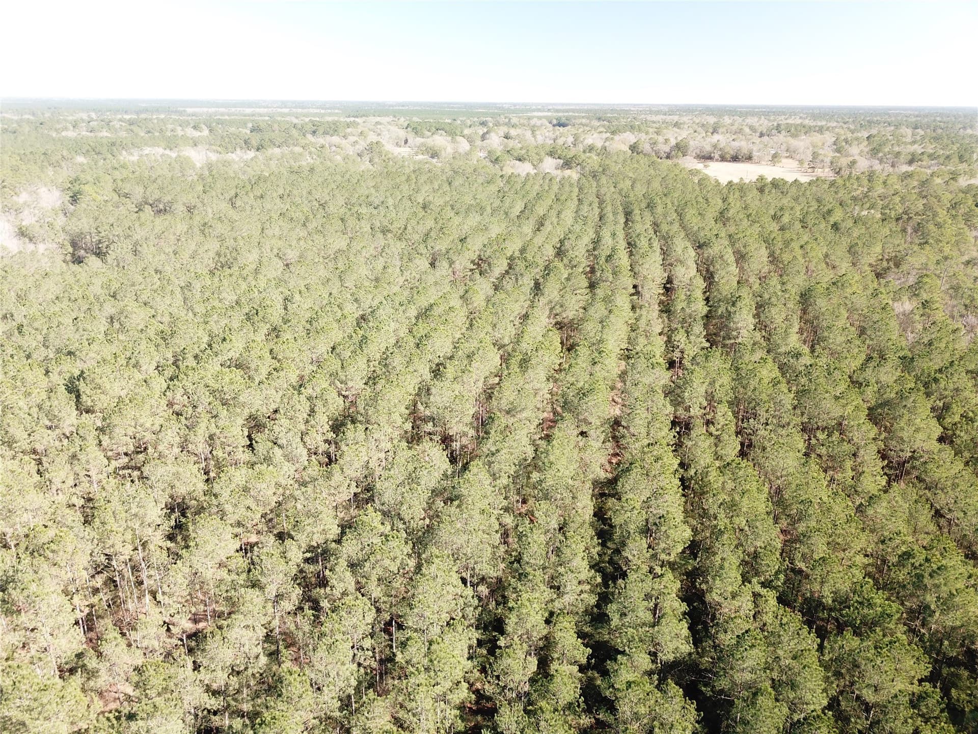 791 acres in Orange County - photo 30
