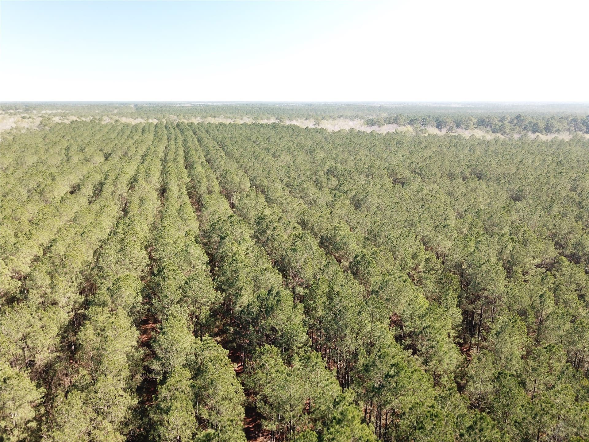 791 acres in Orange County - photo 4