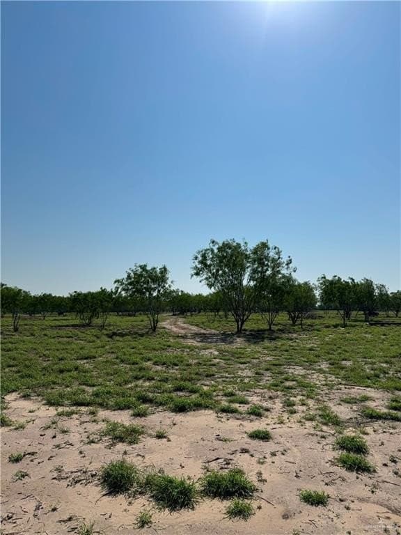 10.14 acres in Hidalgo County - photo 2