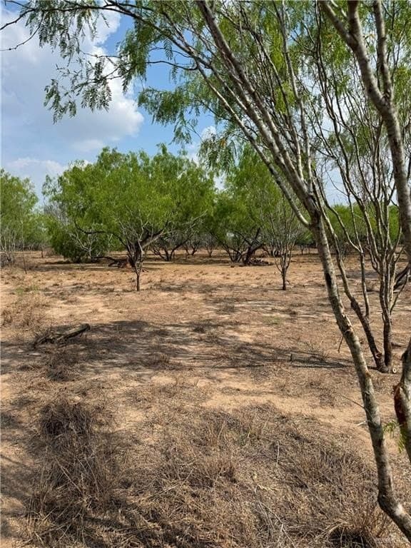 10.14 acres in Hidalgo County - photo 9