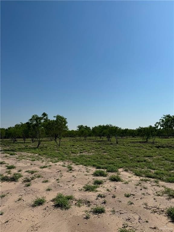 10.14 acres in Hidalgo County - photo 3