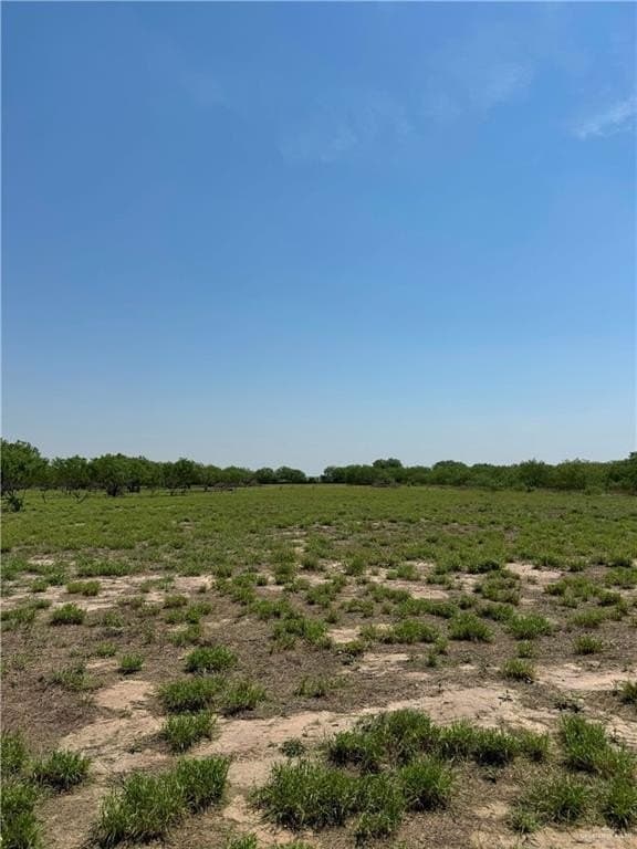 10.14 acres in Hidalgo County - photo 8