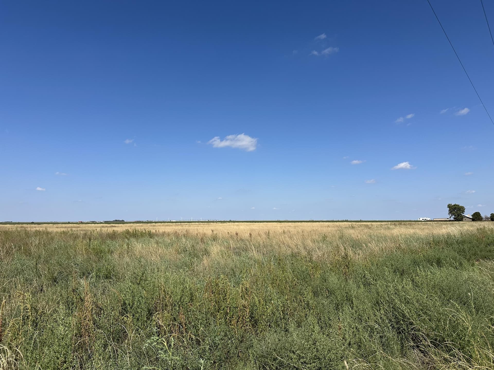 10.01 acres in Lubbock County