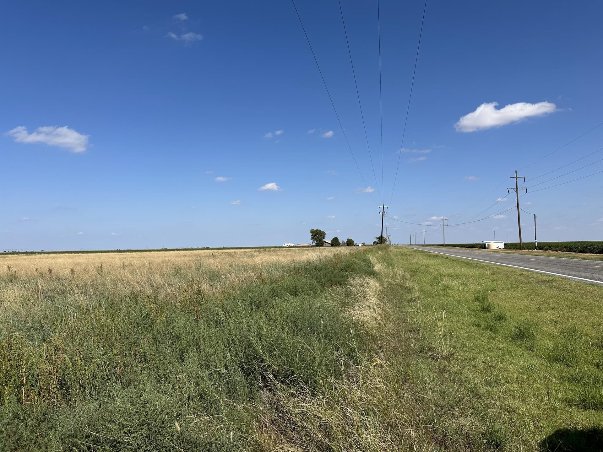 10.01 acres in Lubbock County gallery image 2