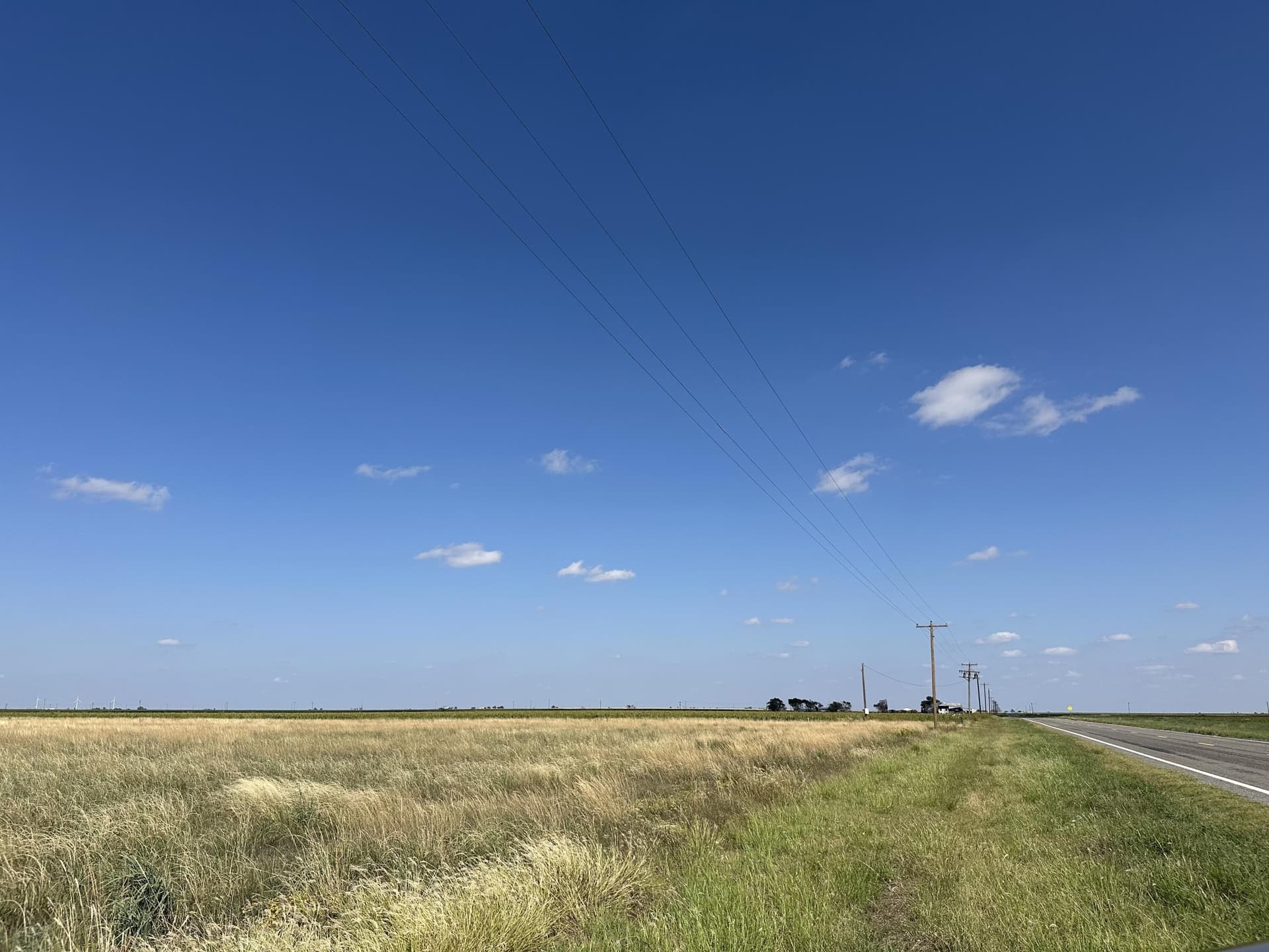 10.01 acres in Lubbock County gallery image 4