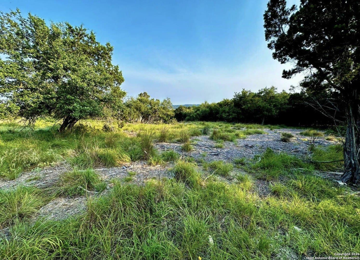 1.09 acres in Comal County gallery image 3
