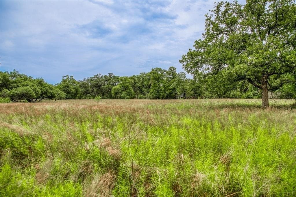 24.93 acres in Lavaca County