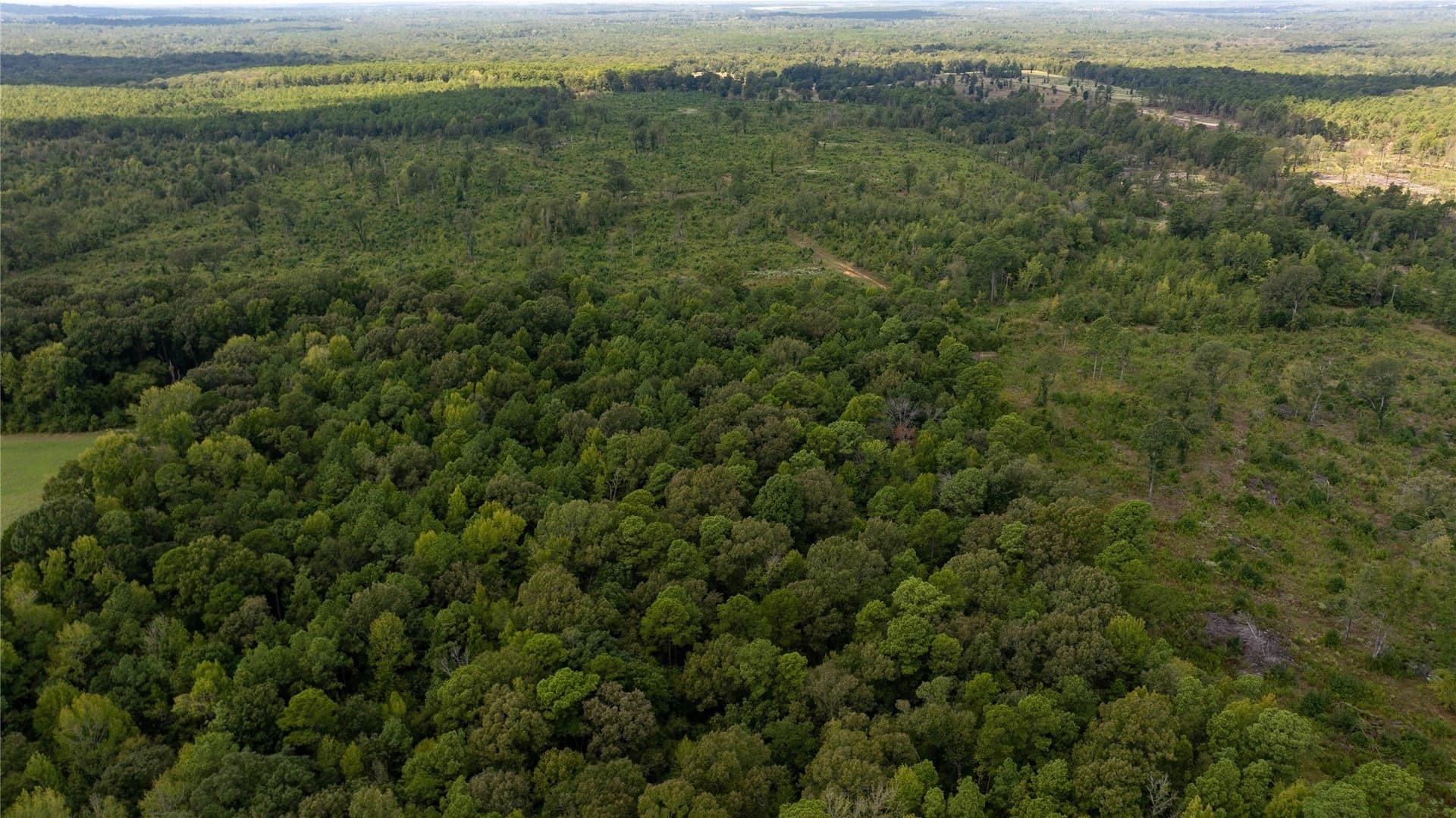 140.6 acres in Harrison County - photo 3