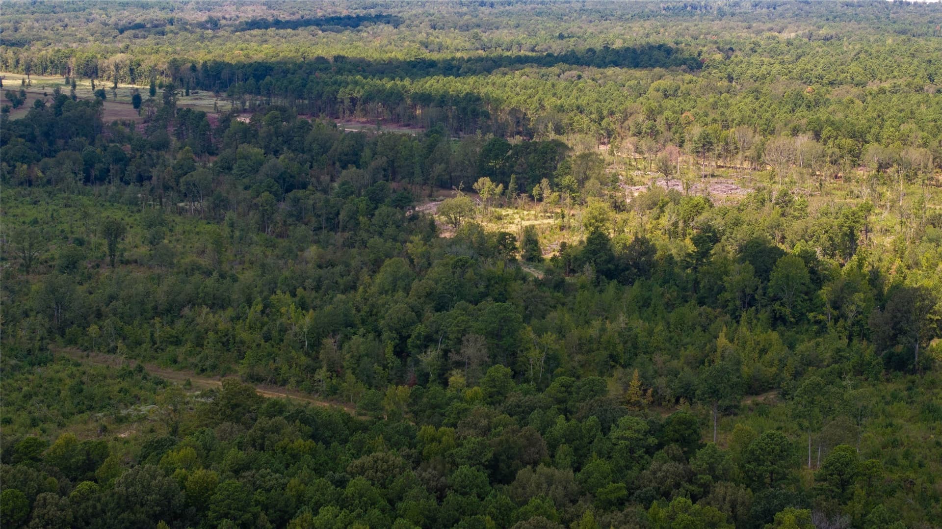 140.6 acres in Harrison County - photo 2