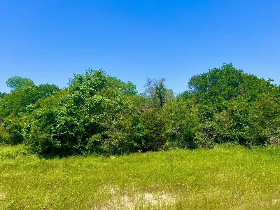 2.62 acres in Parker County - photo 3