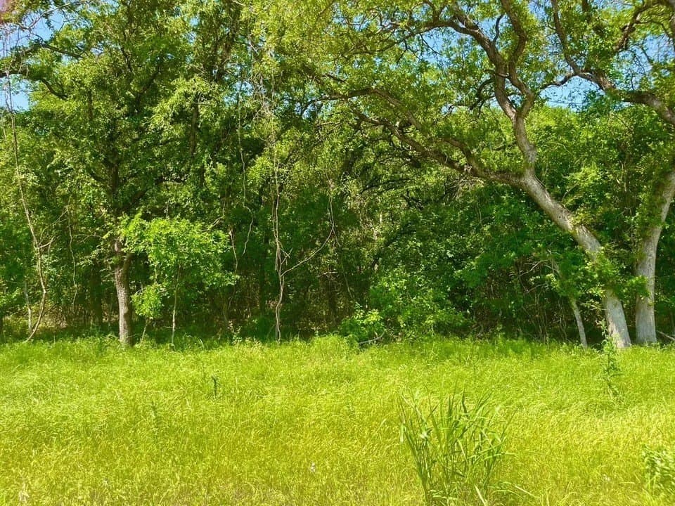 2.62 acres in Parker County - photo 2