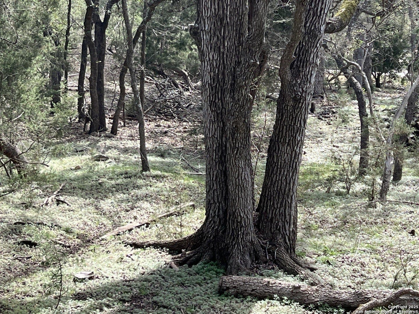 1.04 acres in Comal County featured view