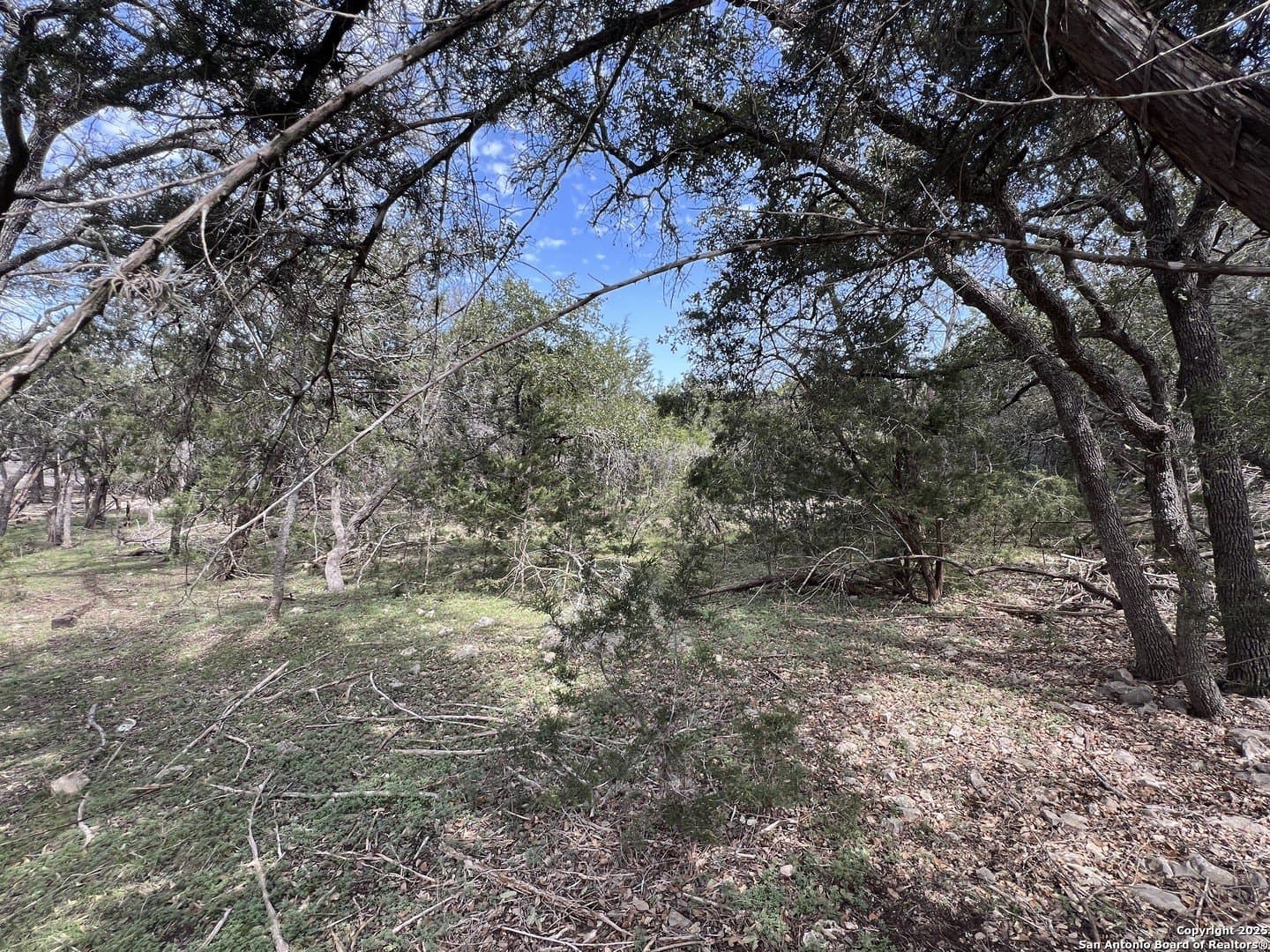 1.04 acres in Comal County gallery image 3