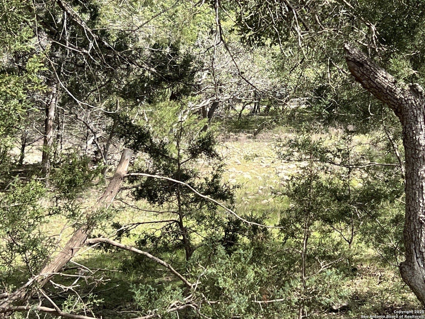 1.04 acres in Comal County gallery image 4