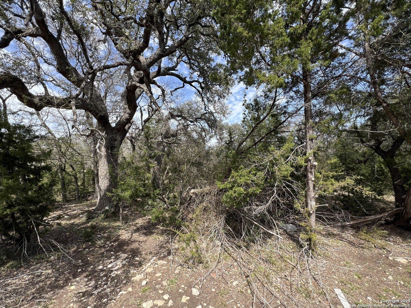 1.04 acres in Comal County gallery image 2