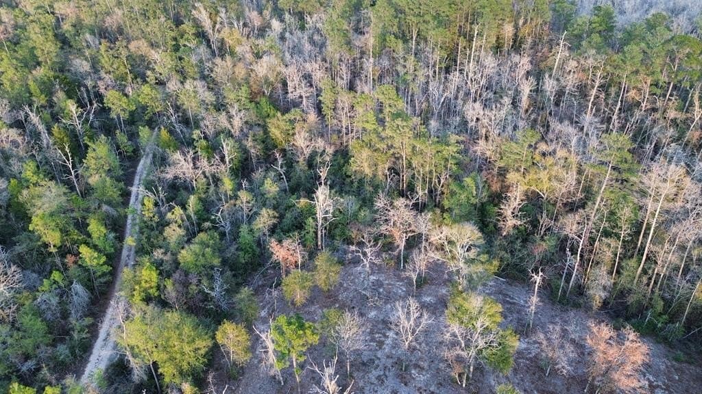 17 acres in Texas County - photo 8