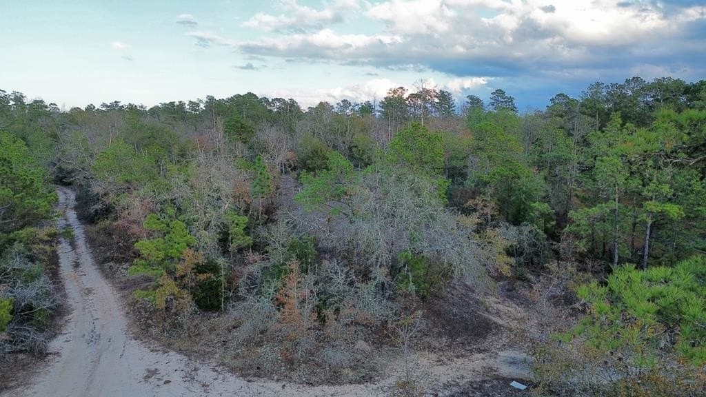17 acres in Texas County - photo 10