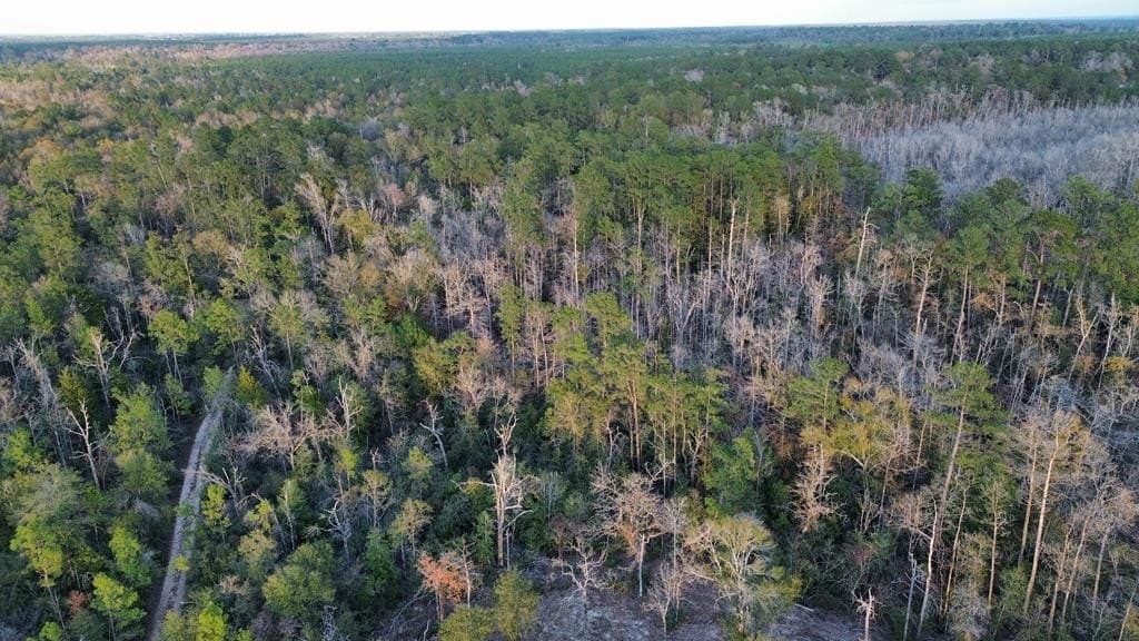 17 acres in Texas County - photo 6