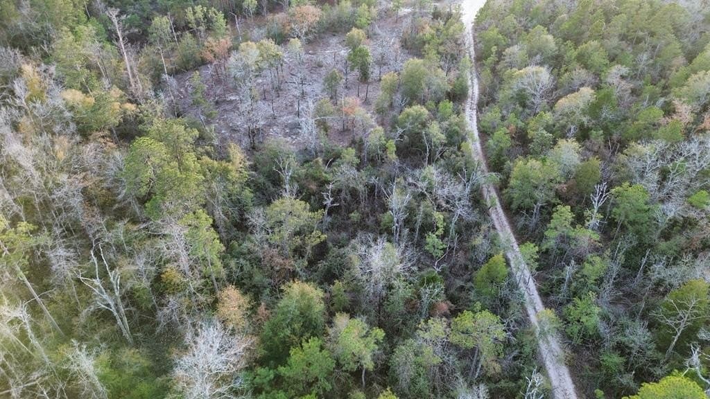 17 acres in Texas County - photo 14