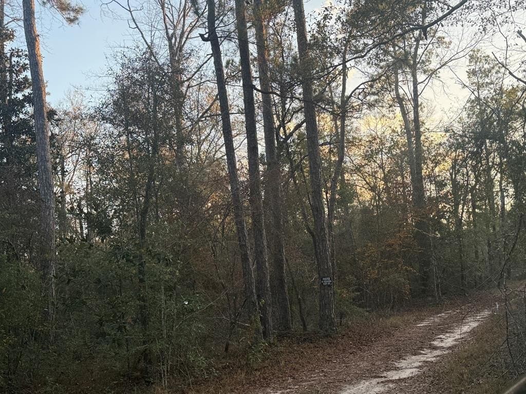 17 acres in Texas County gallery image 2