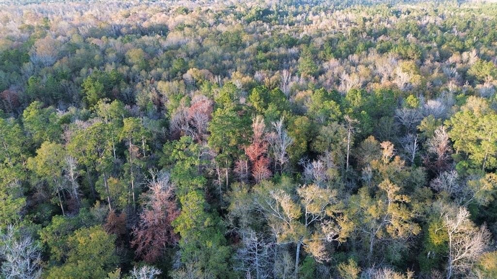 17 acres in Texas County - photo 13