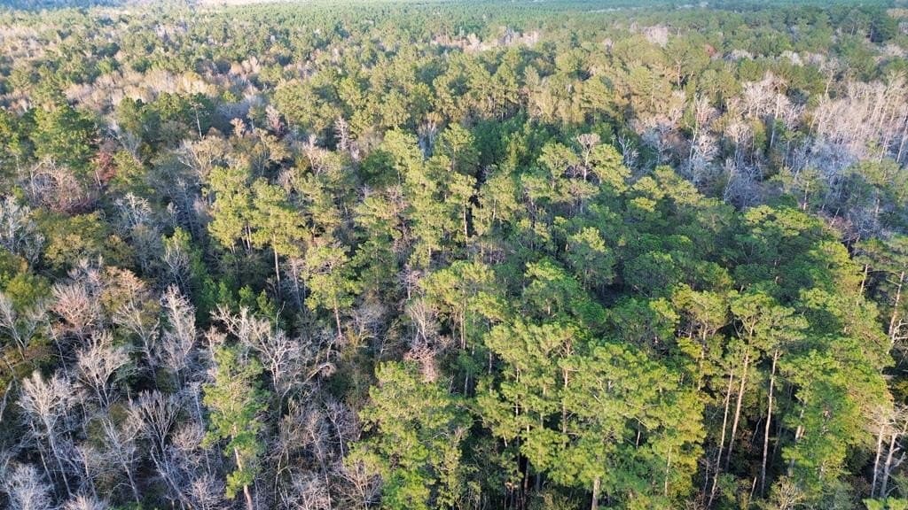 17 acres in Texas County - photo 9