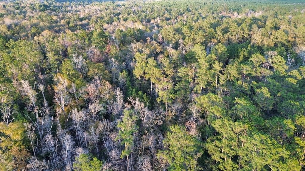 17 acres in Texas County - photo 11