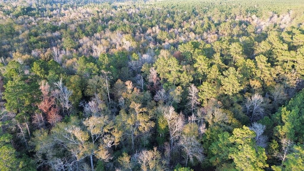 17 acres in Texas County - photo 12