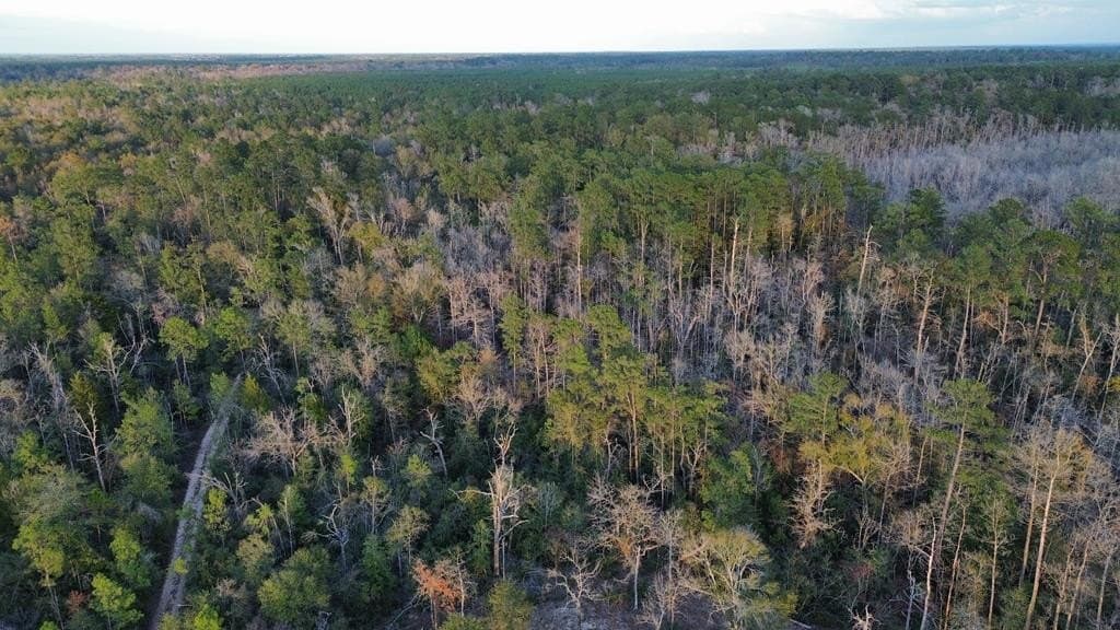 17 acres in Texas County - photo 7