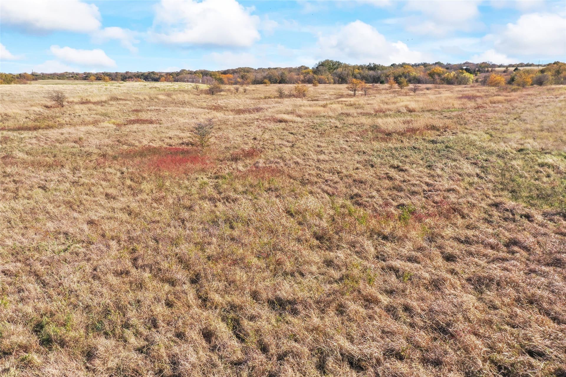 10.04 acres in Montague County - photo 26