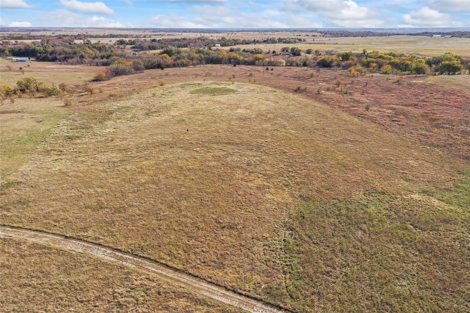 10.04 acres in Montague County - photo 17