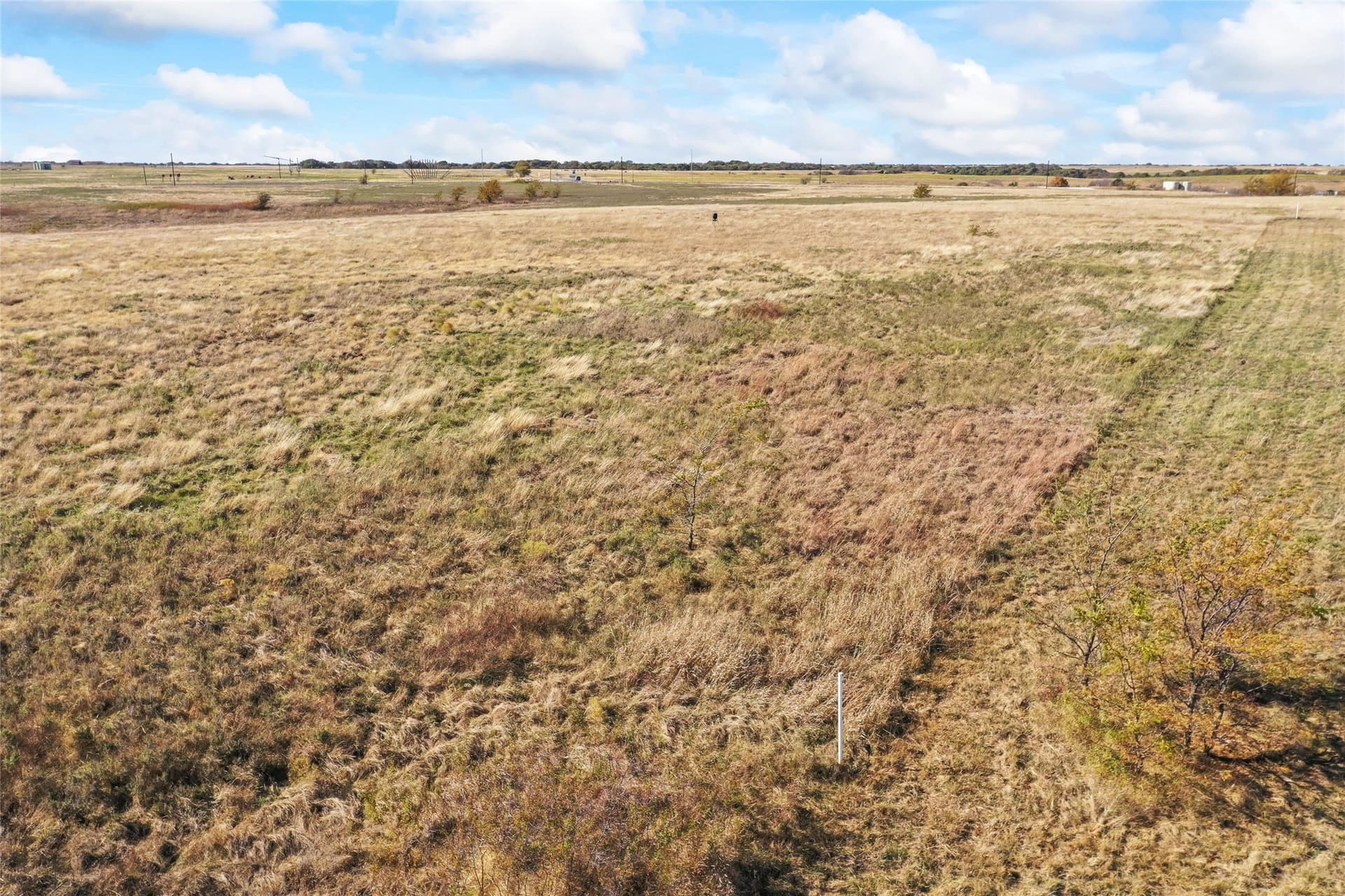 10.04 acres in Montague County - photo 34
