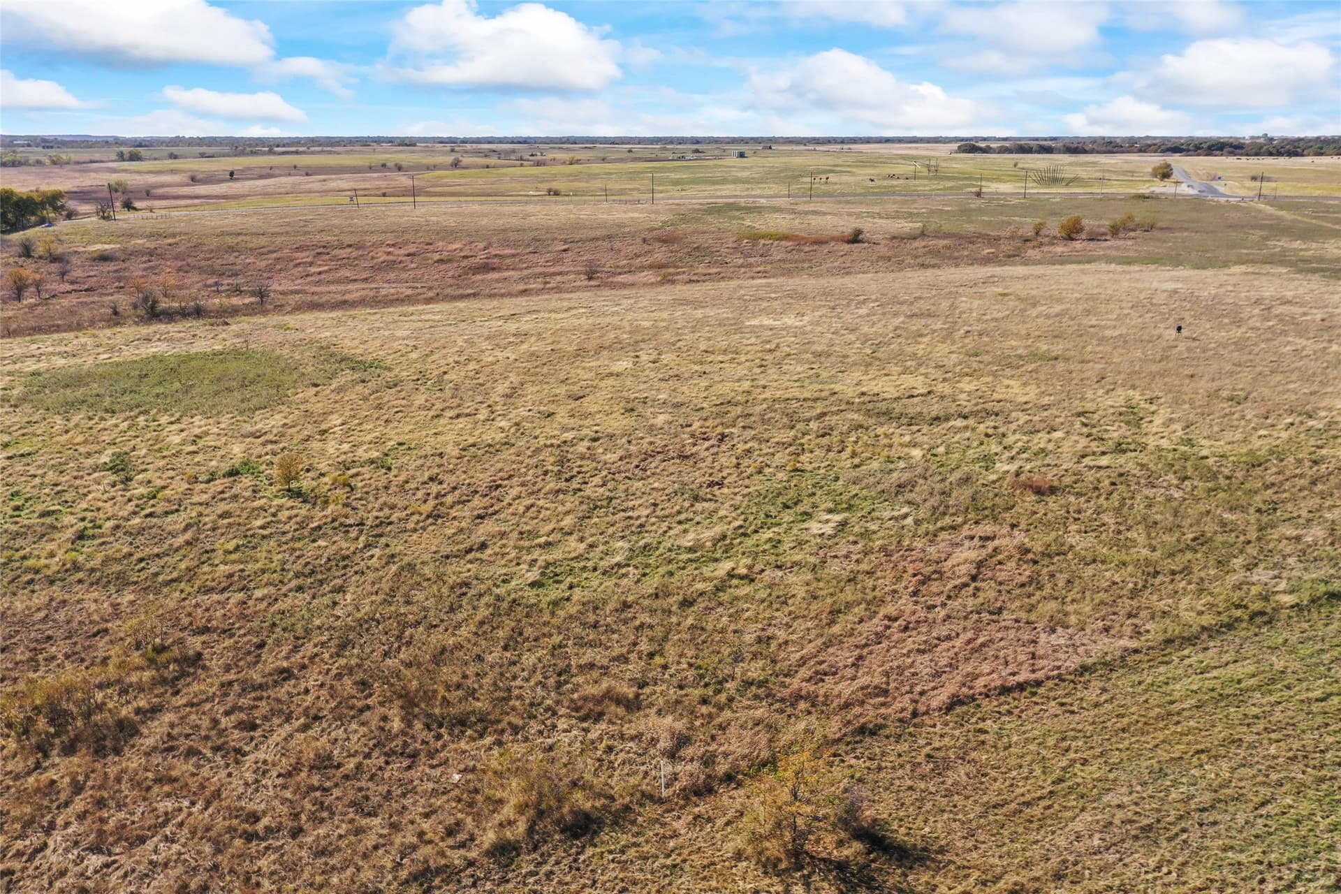 10.04 acres in Montague County - photo 36