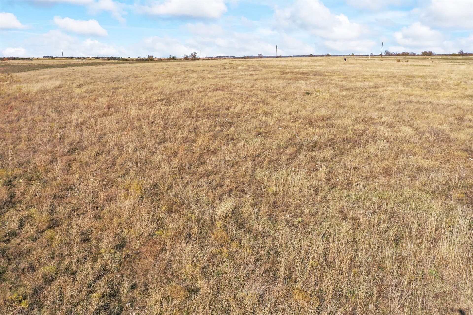 10.04 acres in Montague County - photo 39