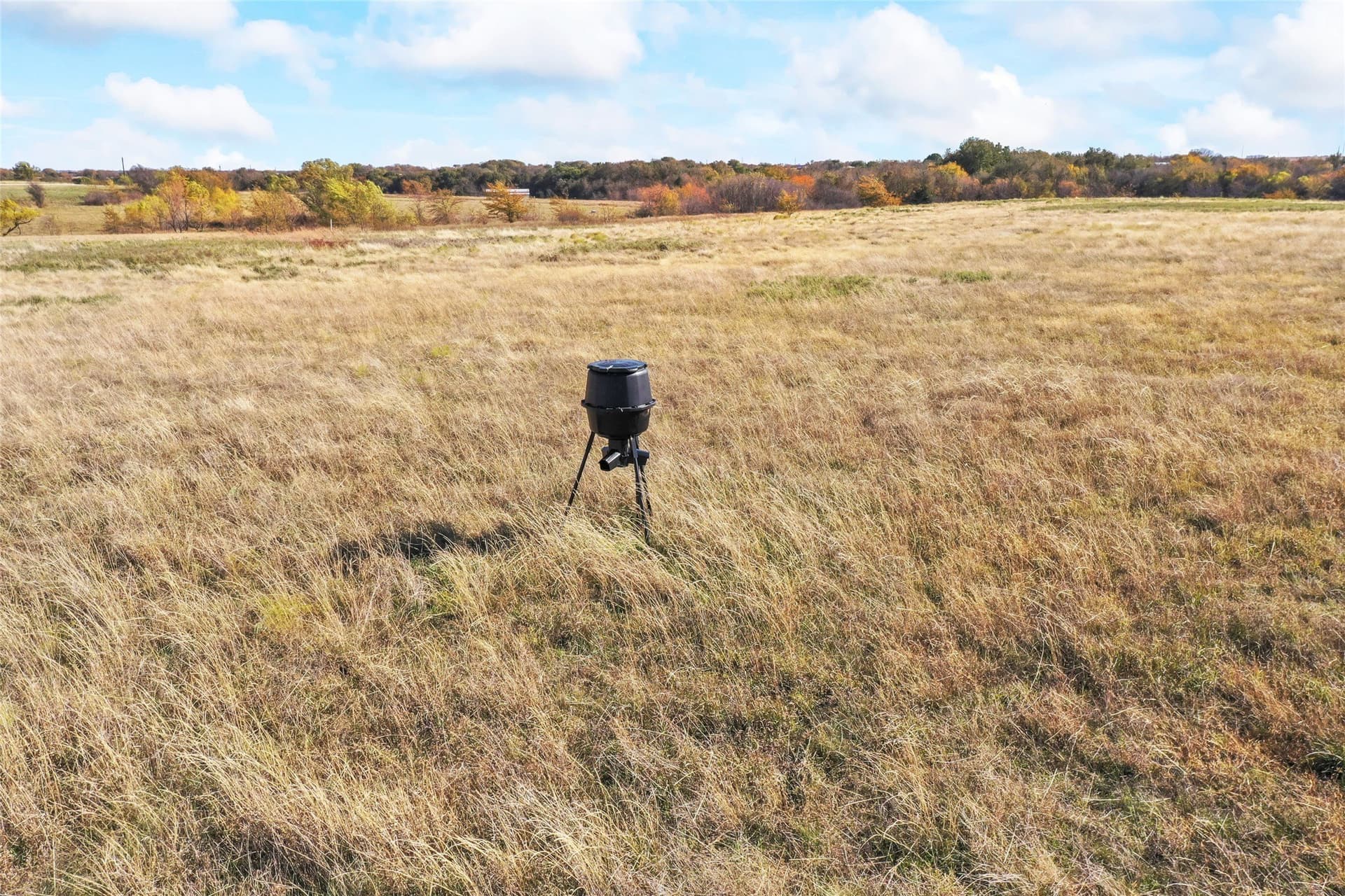 10.04 acres in Montague County - photo 33